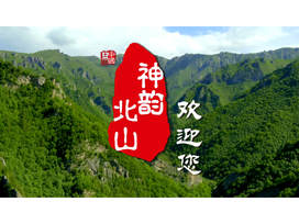 青海北山森林公园